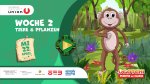 Woche 2 - Mittwoch: Tiere & Pflanzen
