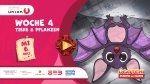 Woche 4 - Mittwoch: Tiere & Pflanzen