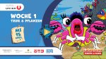 Woche 1 - Mittwoch: Tiere & Pflanzen
