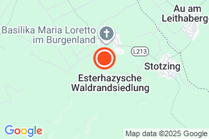 Bild der Adressposition auf der Karte