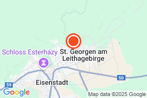 Bild der Adressposition auf der Karte