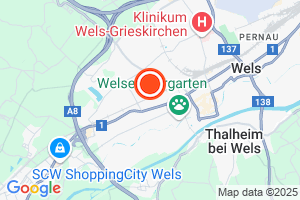 Bild der Adressposition auf der Karte