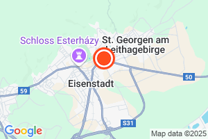 Bild der Adressposition auf der Karte
